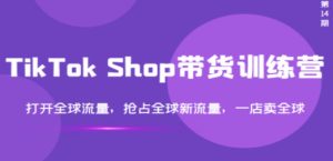 TikTok Shop带货训练营，打开全球流量，抢占全球新流量 一店卖全球
